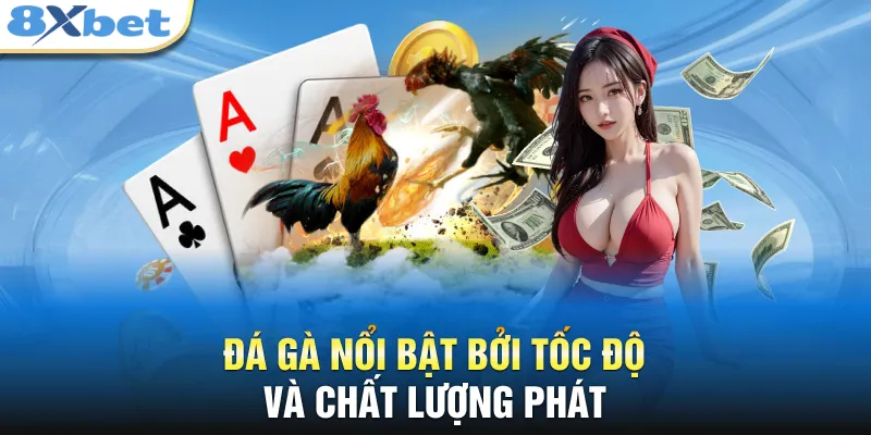 Đá gà nổi bật bởi tốc độ và chất lượng phát