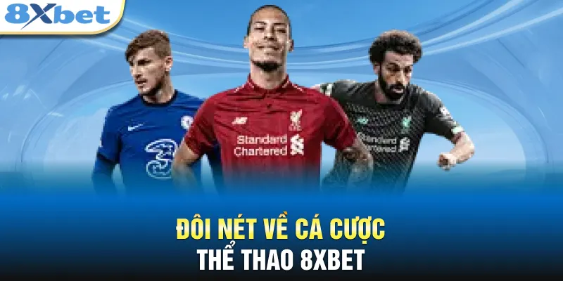 Đôi nét về cá cược thể thao 8XBET